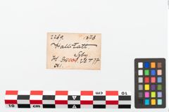 Etikett zu Gefäß (NHMW-PRAE-002289)